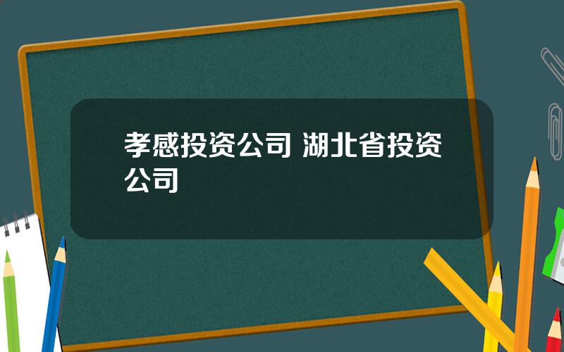 孝感投资公司 湖北省投资公司